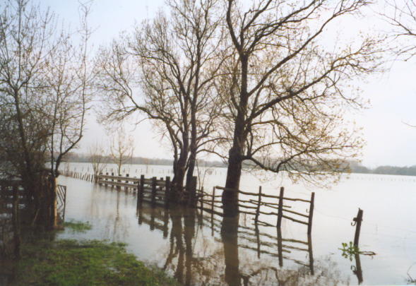 Hochwasser im Winter